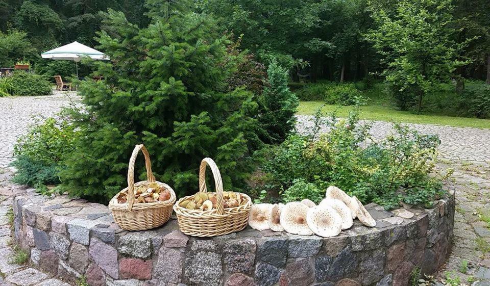 Apartament Agroturystyka Przysiółek Trzonki Pisz Zewnętrze zdjęcie