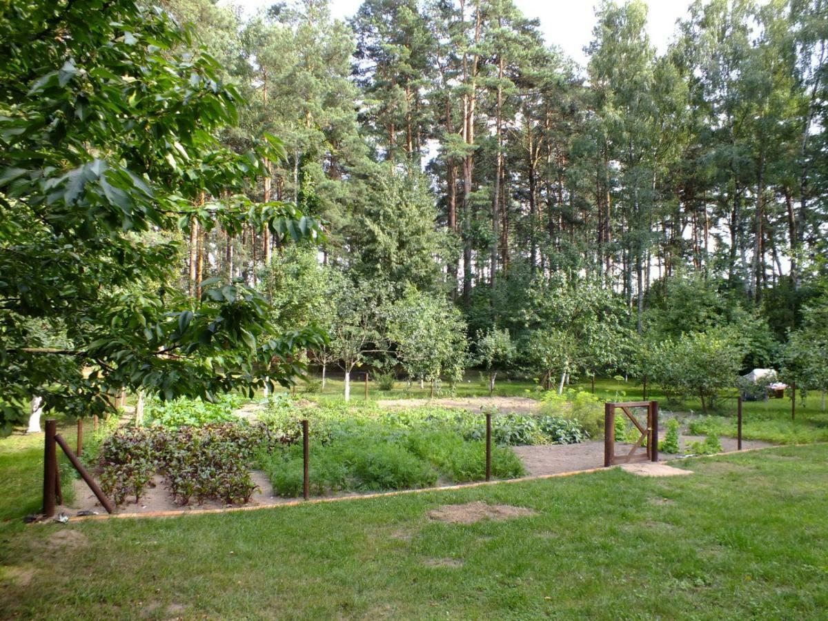 Apartament Agroturystyka Przysiółek Trzonki Pisz Zewnętrze zdjęcie